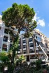 Izmir, Turkey - May 30 2025: Gardeners using an aerial work platform pruning a tall tree next to a residential building